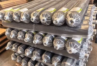 Pellicula de paviment biodegradabil per la cültivaziun de cannabis: custodia per l’esportaziun a ...